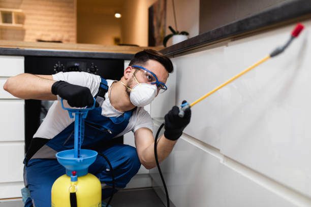 Best Flea Control Services  in Diamond Bar, CA
